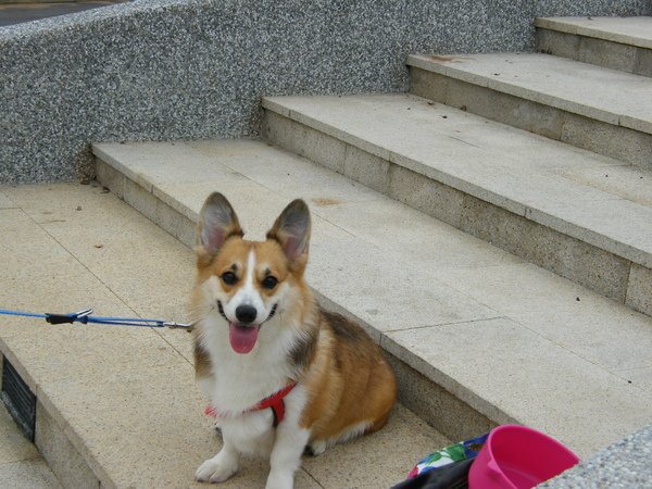 DSCF4388.JPG