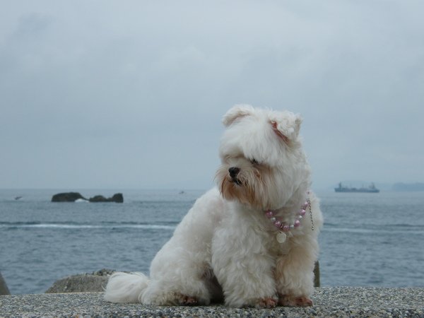 DSCF4391.JPG