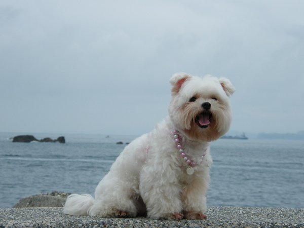 DSCF4393.JPG