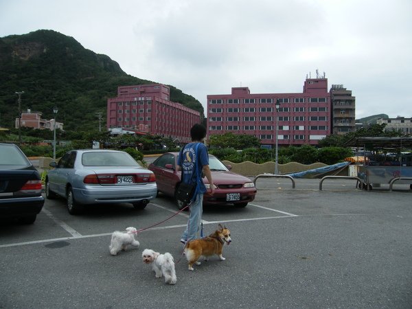 DSCF4437.JPG