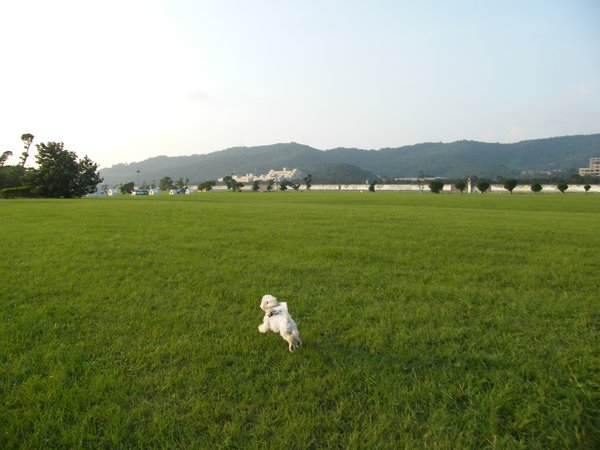 DSCF4443.JPG