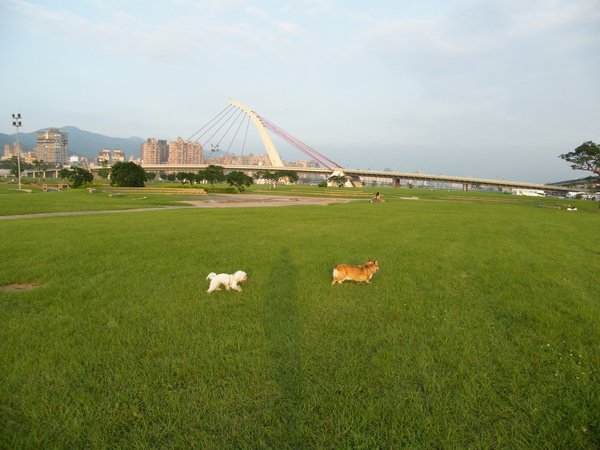 DSCF4519.JPG