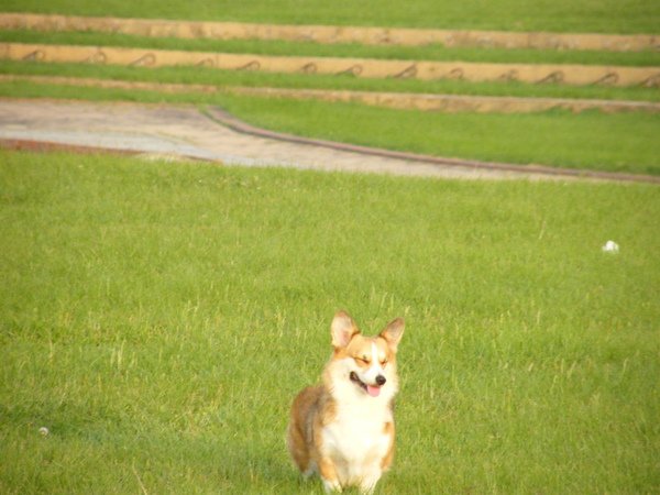 DSCF4540.JPG