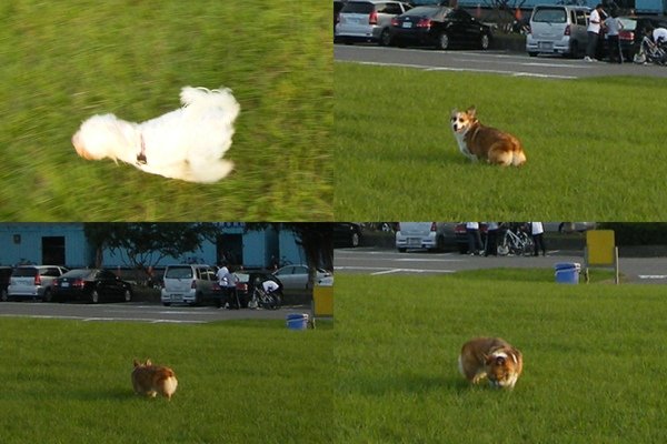 dirun-20002.jpg