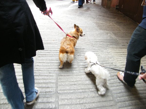 DSCF5186.JPG