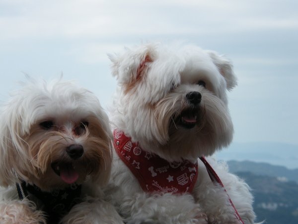 DSCF5219.JPG