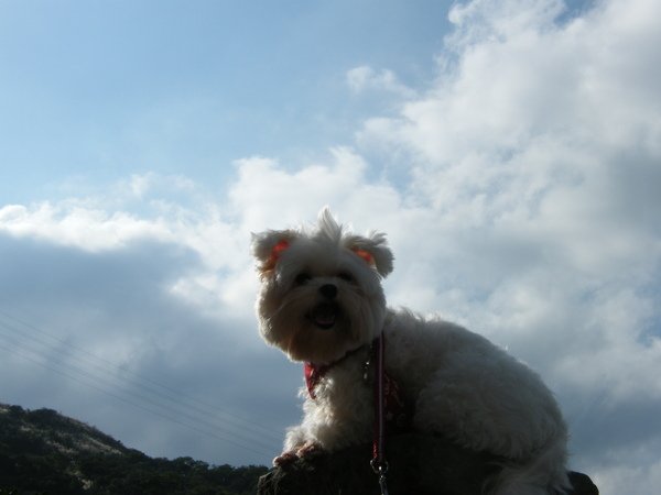 DSCF5338.JPG