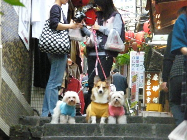 DSCF5367.JPG