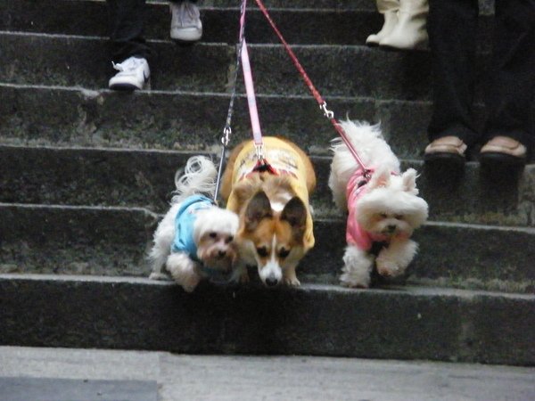 DSCF5370.JPG