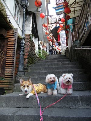 DSCF5373.JPG