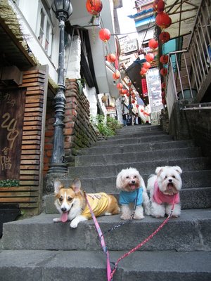 DSCF5374.JPG