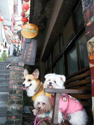 DSCF5377.JPG