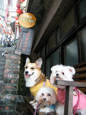 DSCF5381.JPG