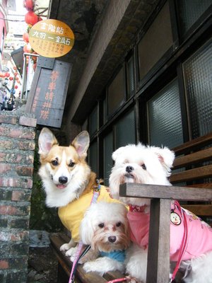 DSCF5384.JPG