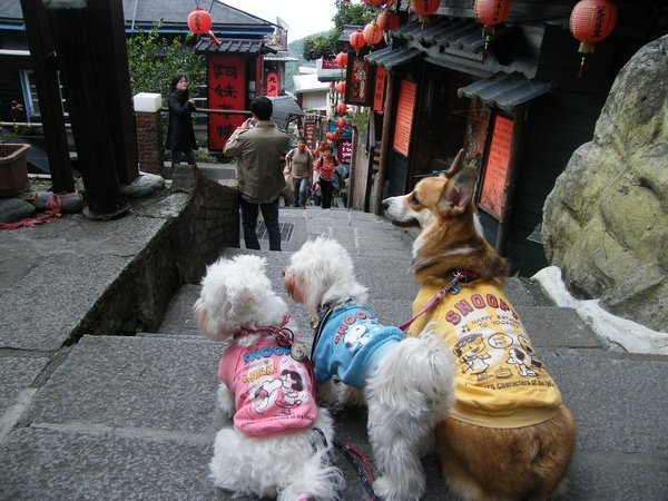 DSCF5388.JPG