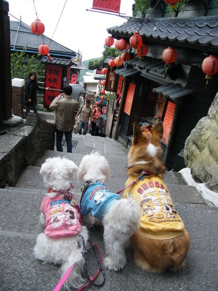 DSCF5389.JPG
