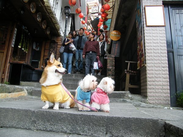 DSCF5390.JPG