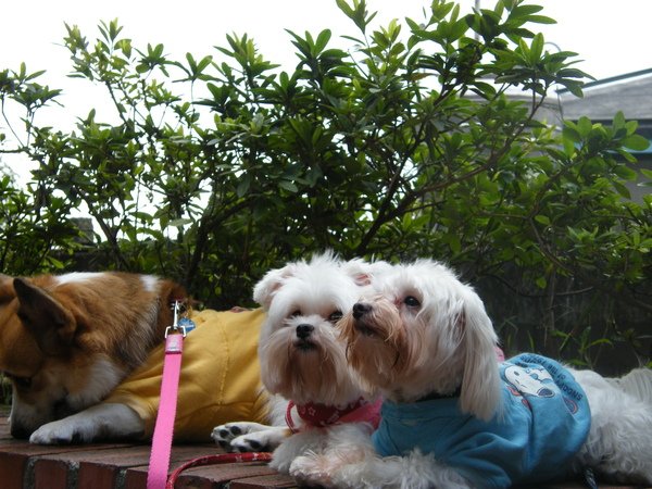 DSCF5415.JPG