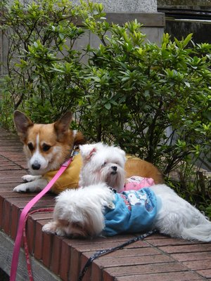 DSCF5434.JPG