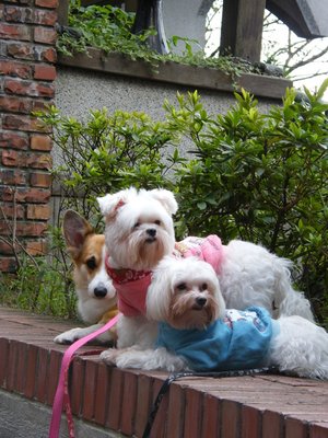 DSCF5436.JPG