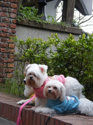 DSCF5438.JPG