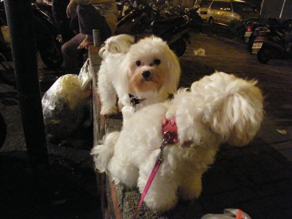 DSCF7030.JPG