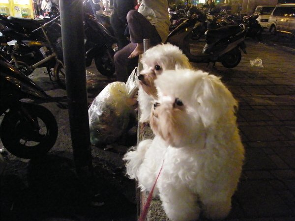 DSCF7031.JPG