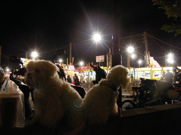 DSCF7034.JPG