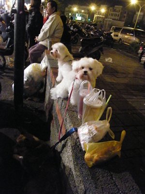 DSCF7035.JPG