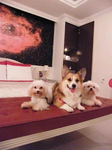 DSCF7045.JPG