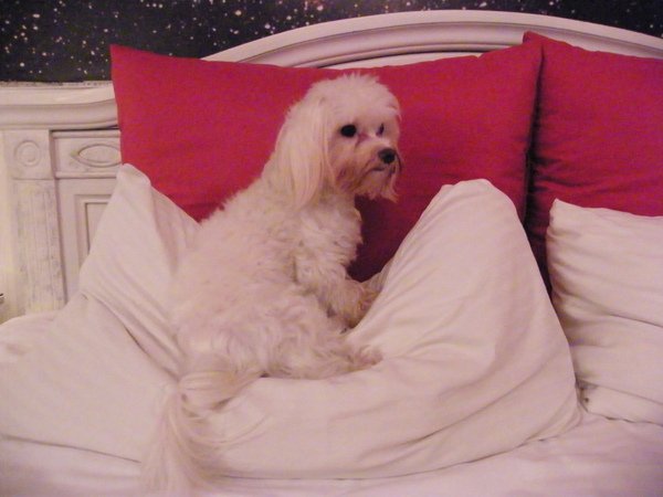 DSCF7071.JPG