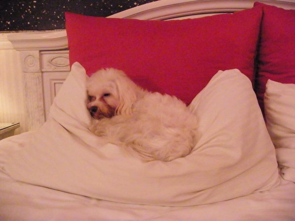 DSCF7073.JPG