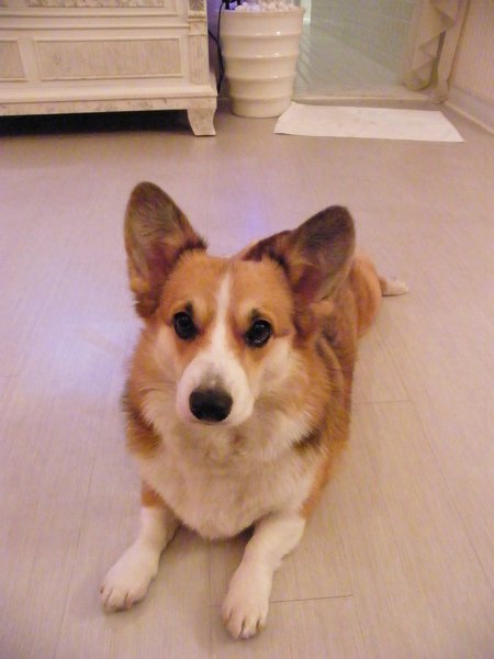 DSCF7081.JPG