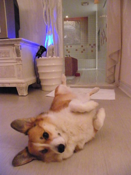 DSCF7082.JPG
