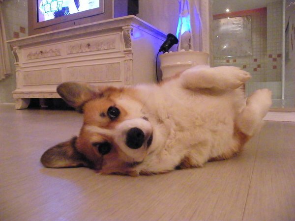 DSCF7085.JPG