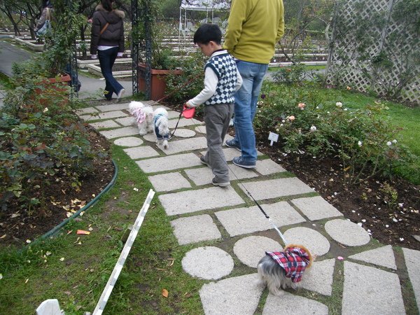 DSCF8287.JPG
