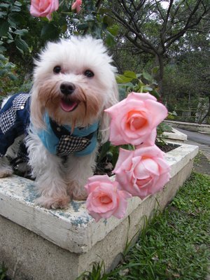 DSCF8294.JPG