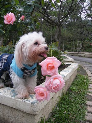 DSCF8296.JPG