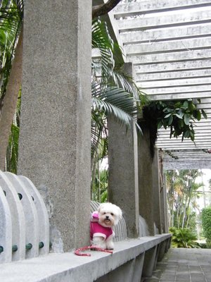DSCF8338.JPG