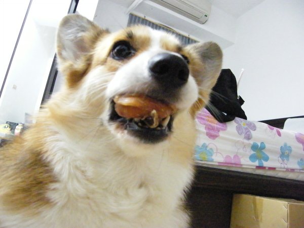 DSCF8426.JPG