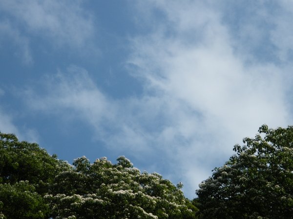 DSCF8715.JPG