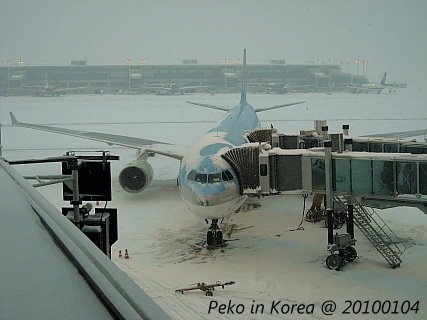 大雪紛飛的機場.jpg