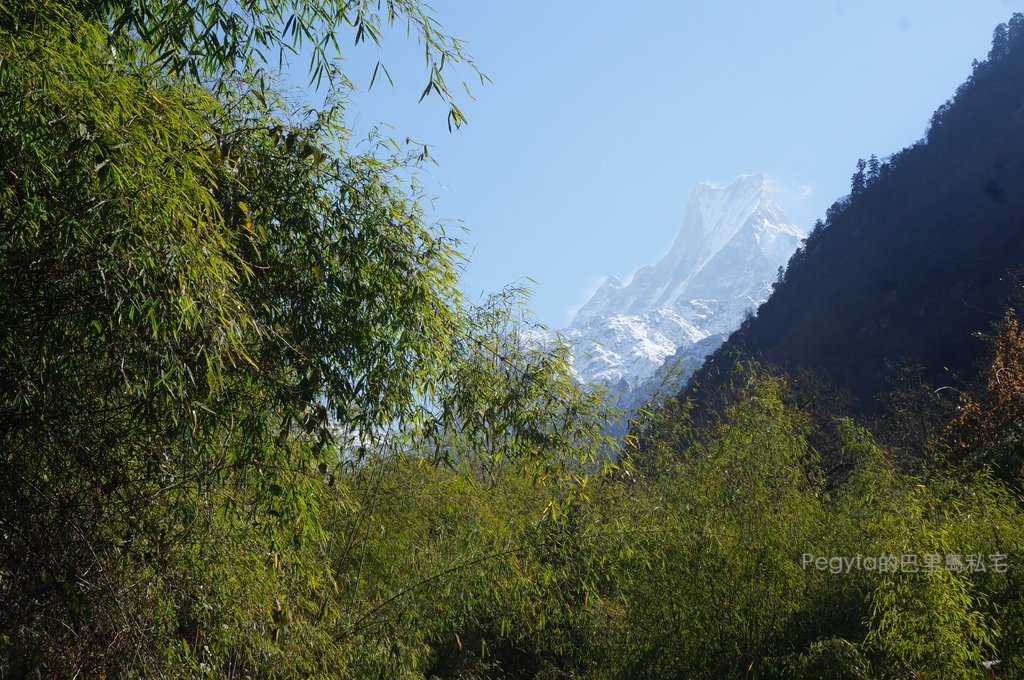 DSC07709
