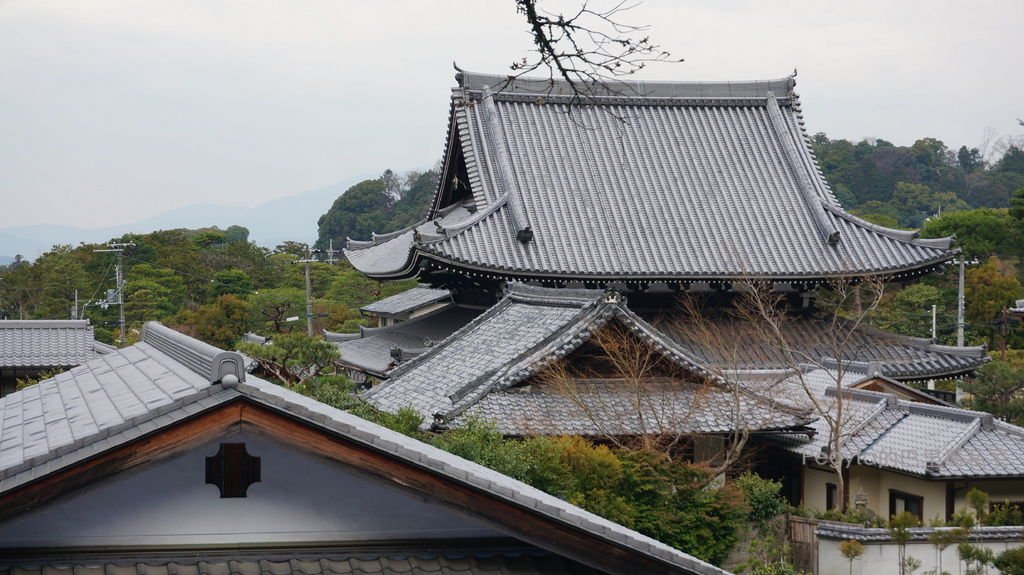 日本京都奈良櫻花旅遊25.JPG