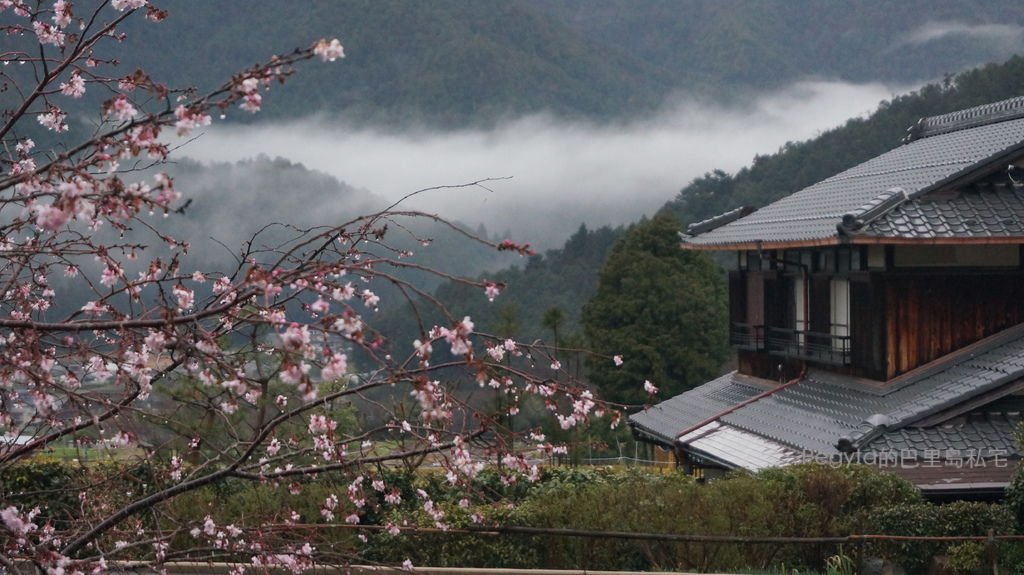 日本京都奈良櫻花旅遊86.JPG