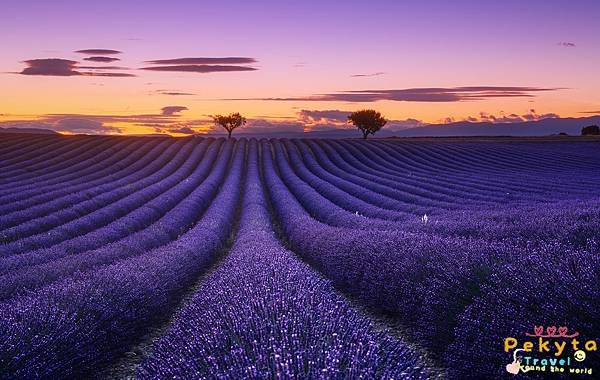 valensole5