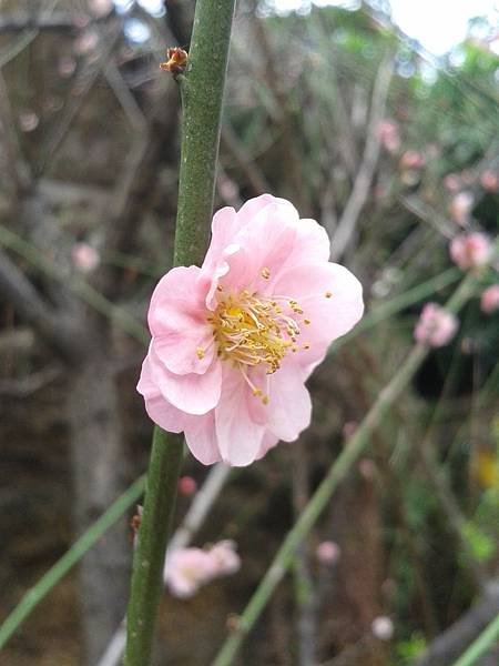 20150227_152346