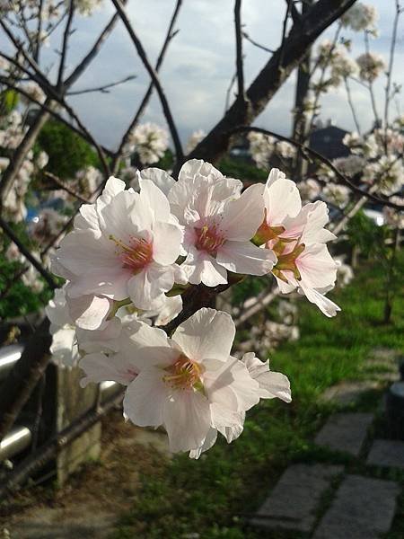 20150406_161450