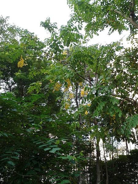 20150617_175606