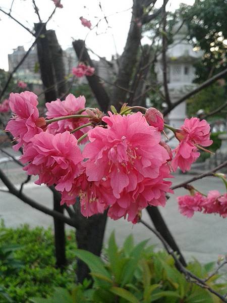 20160305_172709